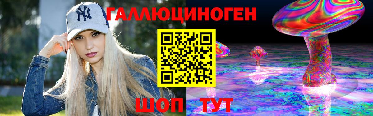 Галлюциногенные грибы Psilocybine cubensis Оренбург